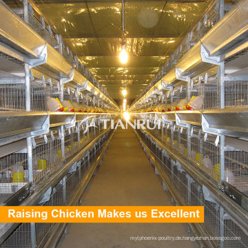 China Chicken Cage Zucht-System zum Verkauf